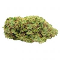 «weed4life» sticker set