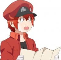 «Hataraku Saibou» sticker set