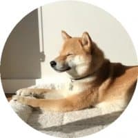 «ShibaTor» sticker set