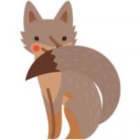 «foxes» sticker set