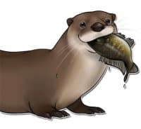 «Majestic Otter» sticker set