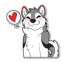 «Kadj» sticker set