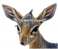 «gAyrenuk and his friend diCk» sticker set