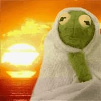 «Kermit-Pepe♡[Mobin]» sticker set