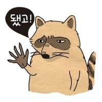 «raccoona» sticker set