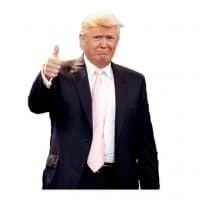 «Donald Trump’d» sticker set