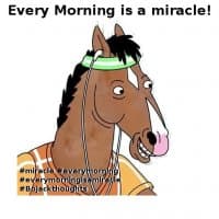 «BojackByViv» sticker set