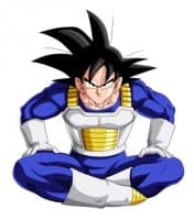 «Goku» sticker set
