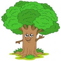 «Trees» sticker set
