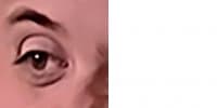 «forsen» sticker set