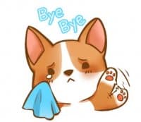 «Corgi The Boss @tikelku» sticker set