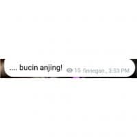 «ngomul tolol» sticker set