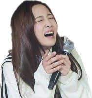 «lvlz» sticker set