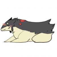 «KahluaTheTyphlosion» sticker set