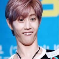 «jina kim (got7 funny hunny) » sticker set