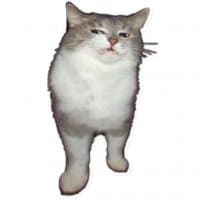 «Fuckats» sticker set
