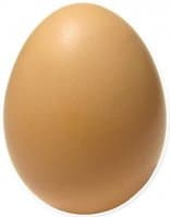 «Egg» sticker set
