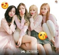 «blackpink» sticker set