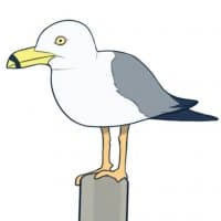 «Brogulls Official» sticker set