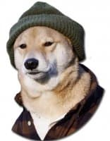 «DontBeDog» sticker set