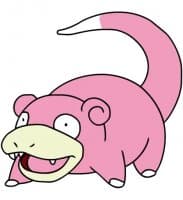 «SLOWPOKES» sticker set