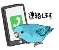 «BIRDS!» sticker set