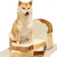 «Doggo’s» sticker set