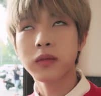 «NCT meme» sticker set