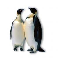 «Dodos» sticker set