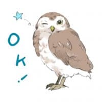 «Owl» sticker set