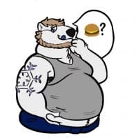 «aeisbaer» sticker set