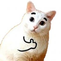 «cat» sticker set