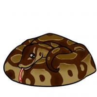 «sneks» sticker set