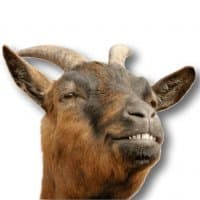 «BlaGoat» sticker set
