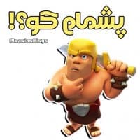 «pashmam» sticker set