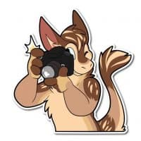 «Kona» sticker set