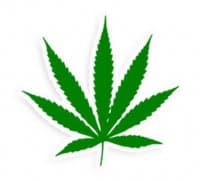 «weed» sticker set