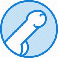 «Penis» sticker set