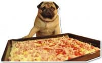 «Pug» sticker set
