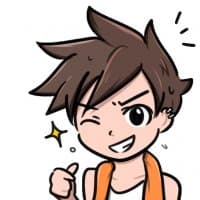 «TRACER» sticker set