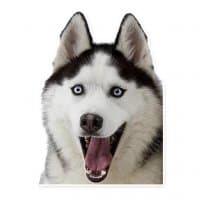 «HuskyPlanet Official Stickers» sticker set