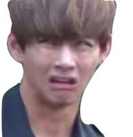 «Meme bts» sticker set