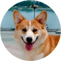 «Welsh Corgi» sticker set