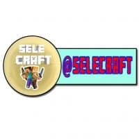 «SeleCraft/WaterMark» sticker set
