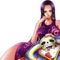 «One piece» sticker set