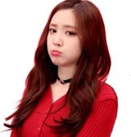 «apink» sticker set