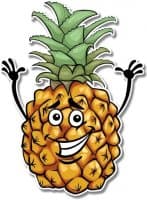 «Pineapple» sticker set