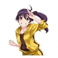 «Monogatari» sticker set