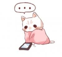 «Nadia1010(cat)» sticker set