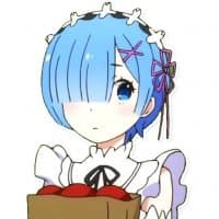 «Rem» sticker set
